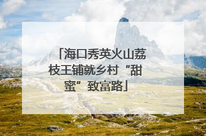 海口秀英火山荔枝王铺就乡村“甜蜜”致富路