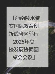 海南陵水黎安国际教育创新试验区举行2025年高校发展协同圆桌会会议