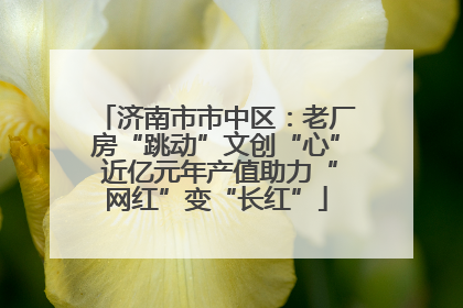 济南市市中区：老厂房“跳动”文创“心” 近亿元年产值助力“网红”变“长红”
