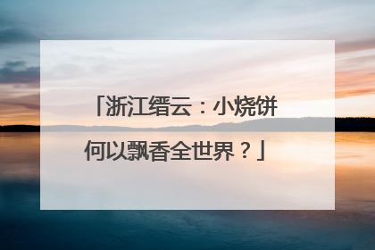 浙江缙云：小烧饼何以飘香全世界？