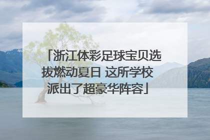 浙江体彩足球宝贝选拔燃动夏日 这所学校派出了超豪华阵容