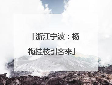 浙江宁波：杨梅挂枝引客来