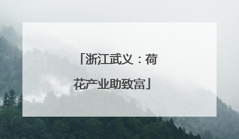 浙江武义：荷花产业助致富