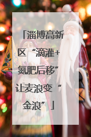 淄博高新区“滴灌+氮肥后移”让麦浪变“金浪”