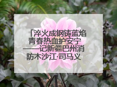 淬火成钢铸蓝焰 青春热血护安宁——记新疆巴州消防木沙江·司马义的逆行人生