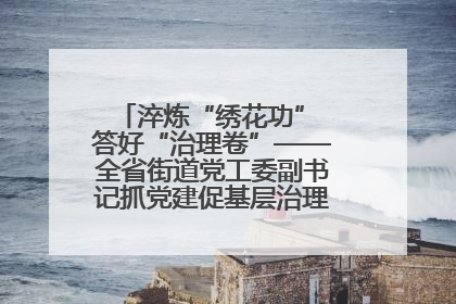 淬炼“绣花功” 答好“治理卷”——全省街道党工委副书记抓党建促基层治理培训示范班侧记