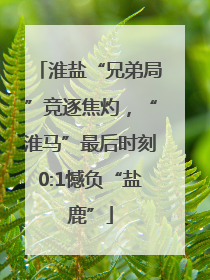 淮盐“兄弟局”竞逐焦灼，“淮马”最后时刻0:1憾负“盐鹿”