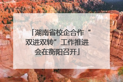 湖南省校企合作“双进双转”工作推进会在衡阳召开