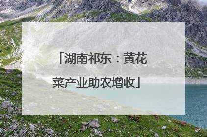 湖南祁东：黄花菜产业助农增收