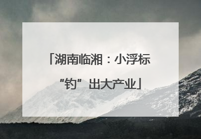 湖南临湘：小浮标“钓”出大产业