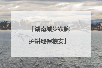 湖南城步铁腕护耕地保粮安