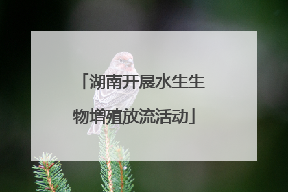 湖南开展水生生物增殖放流活动