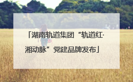 湖南轨道集团“轨道红·湘动脉”党建品牌发布