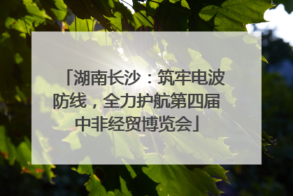 湖南长沙：筑牢电波防线，全力护航第四届中非经贸博览会