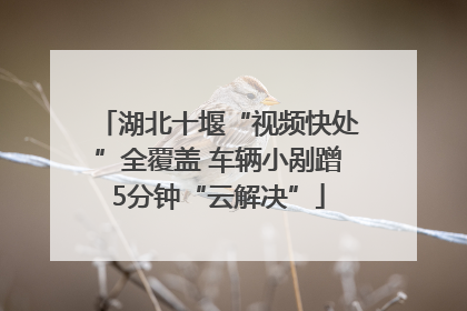 湖北十堰“视频快处”全覆盖 车辆小剐蹭5分钟“云解决”