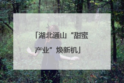 湖北通山“甜蜜产业”焕新机