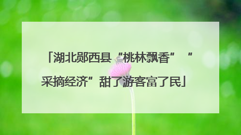 湖北郧西县“桃林飘香”“采摘经济”甜了游客富了民