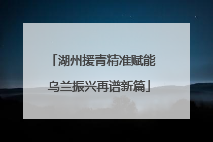 湖州援青精准赋能 乌兰振兴再谱新篇