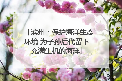 滨州：保护海洋生态环境 为子孙后代留下充满生机的海洋