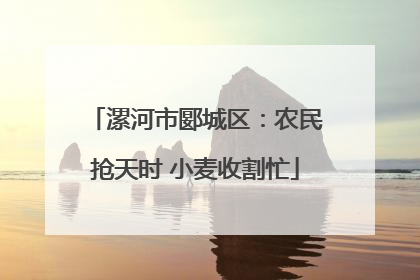 漯河市郾城区：农民抢天时 小麦收割忙