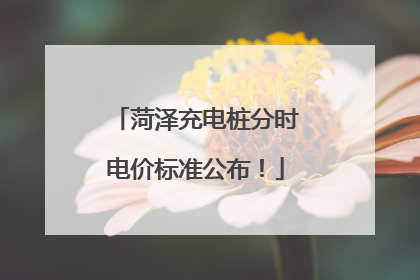 菏泽充电桩分时电价标准公布！