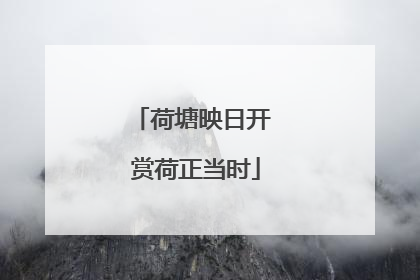 荷塘映日开 赏荷正当时