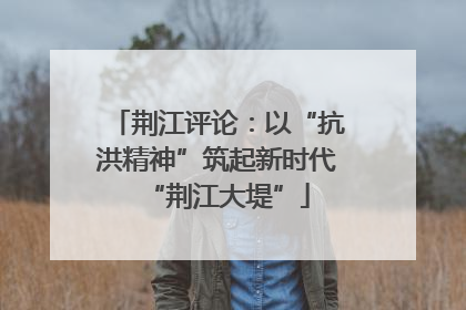 荆江评论：以“抗洪精神”筑起新时代“荆江大堤”