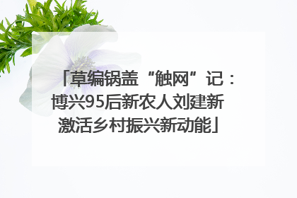 草编锅盖“触网”记：博兴95后新农人刘建新激活乡村振兴新动能
