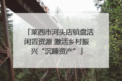 莱西市河头店镇盘活闲置资源 激活乡村振兴“沉睡资产”