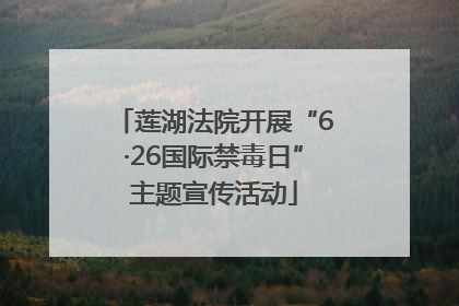 莲湖法院开展“6·26国际禁毒日”主题宣传活动
