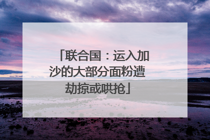 联合国：运入加沙的大部分面粉遭劫掠或哄抢