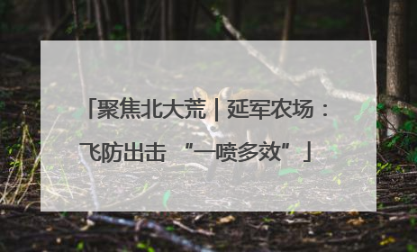 聚焦北大荒｜延军农场：飞防出击 “一喷多效”