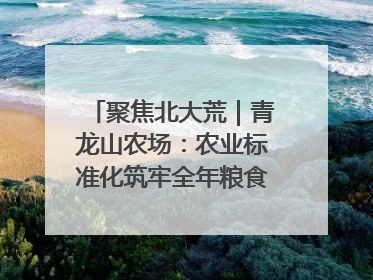 聚焦北大荒｜青龙山农场：农业标准化筑牢全年粮食安全根基