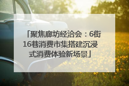 聚焦廊坊经洽会：6街16巷消费市集搭建沉浸式消费体验新场景