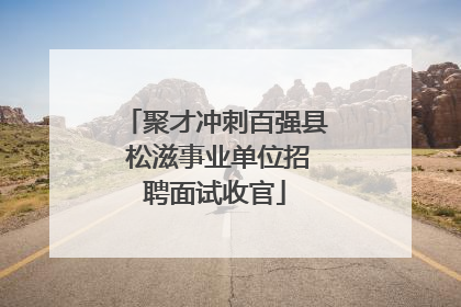 聚才冲刺百强县 松滋事业单位招聘面试收官