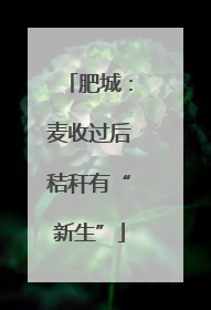 肥城：麦收过后秸秆有“新生”