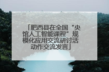 肥西县在全国“央馆人工智能课程”规模化应用交流研讨活动作交流发言