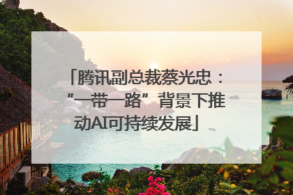 腾讯副总裁蔡光忠：“一带一路”背景下推动AI可持续发展