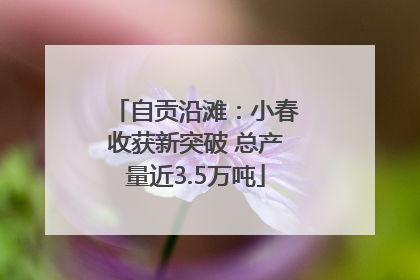 自贡沿滩：小春收获新突破 总产量近3.5万吨