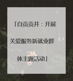 自贡贡井：开展关爱服务新就业群体主题活动