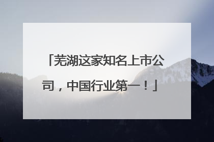 芜湖这家知名上市公司，中国行业第一！