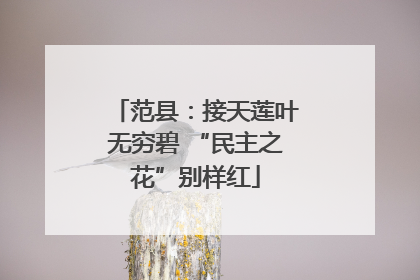 范县：接天莲叶无穷碧 “民主之花”别样红