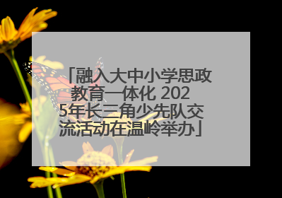 融入大中小学思政教育一体化 2025年长三角少先队交流活动在温岭举办