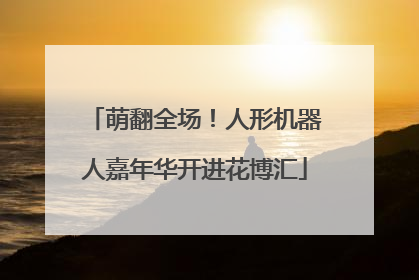 萌翻全场！人形机器人嘉年华开进花博汇