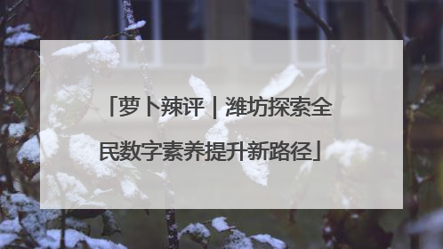 萝卜辣评｜潍坊探索全民数字素养提升新路径