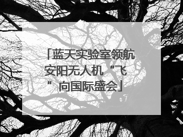 蓝天实验室领航 安阳无人机“飞”向国际盛会