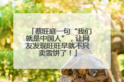 蔡旺庭一句“我们就是中国人”，让网友发现旺旺早就不只卖雪饼了！