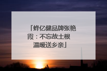 蜂亿健品牌张艳霞：不忘故土根 温暖送乡亲