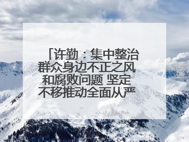许勤：集中整治群众身边不正之风和腐败问题 坚定不移推动全面从严治党向基层延伸