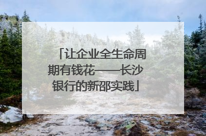 让企业全生命周期有钱花——长沙银行的新邵实践